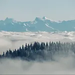 Schwarzwaldglueck 2 Einheiten